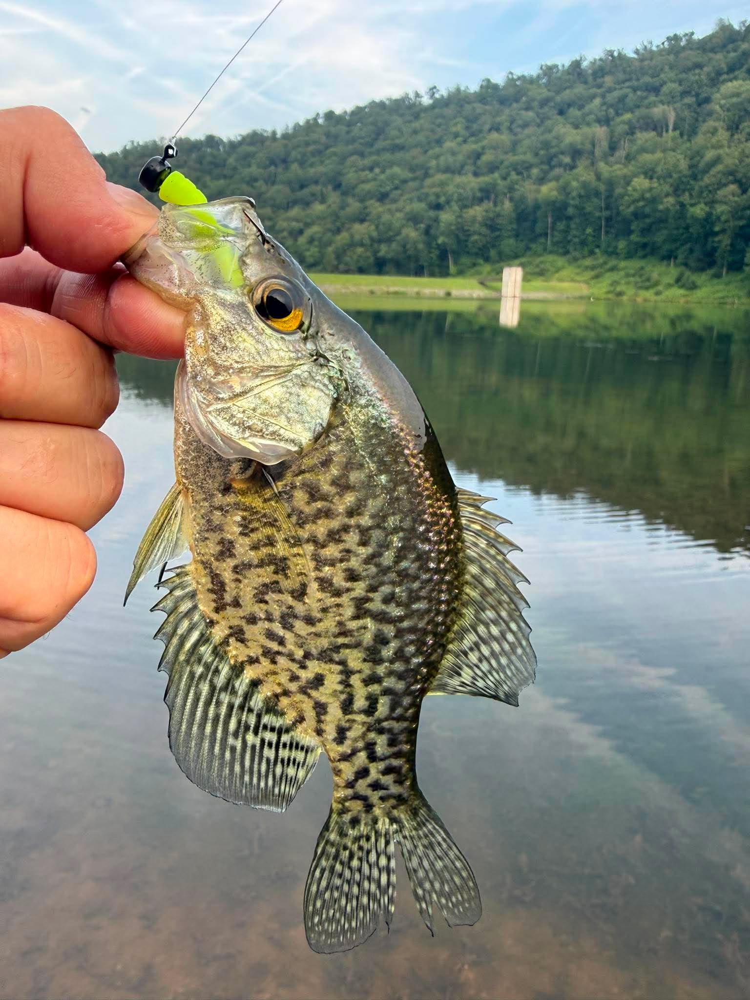 7/24/2026 Tioga County Fishing Report- Hammond Lake, Tioga Lake, Cowanesque Lake, Pine Creek and More