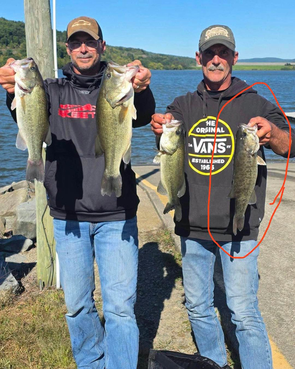 10/1/2026 Tioga County Fishing Report- Hammond Lake, Tioga Lake, Cowan ...