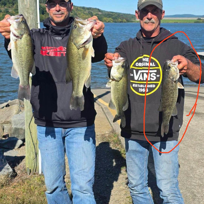10/1/2026 Tioga County Fishing Report- Hammond Lake, Tioga Lake, Cowanesque Lake, Pine Creek and More