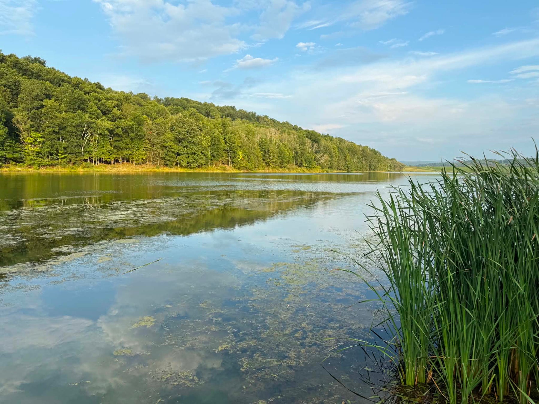 Hamilton Lake - August 27 2026