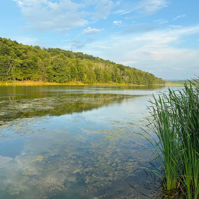 Hamilton Lake - August 27 2026