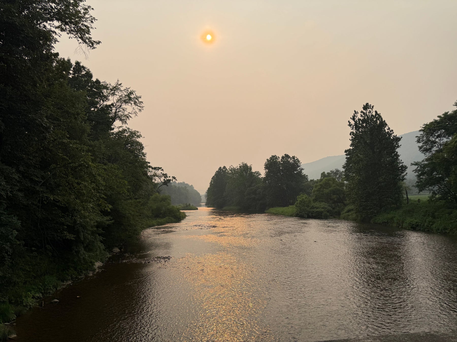 7/16/2026 Upper Pine Creek Fly Fishing and Hatch Report