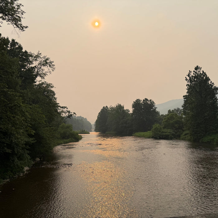 7/16/2026 Upper Pine Creek Fly Fishing and Hatch Report