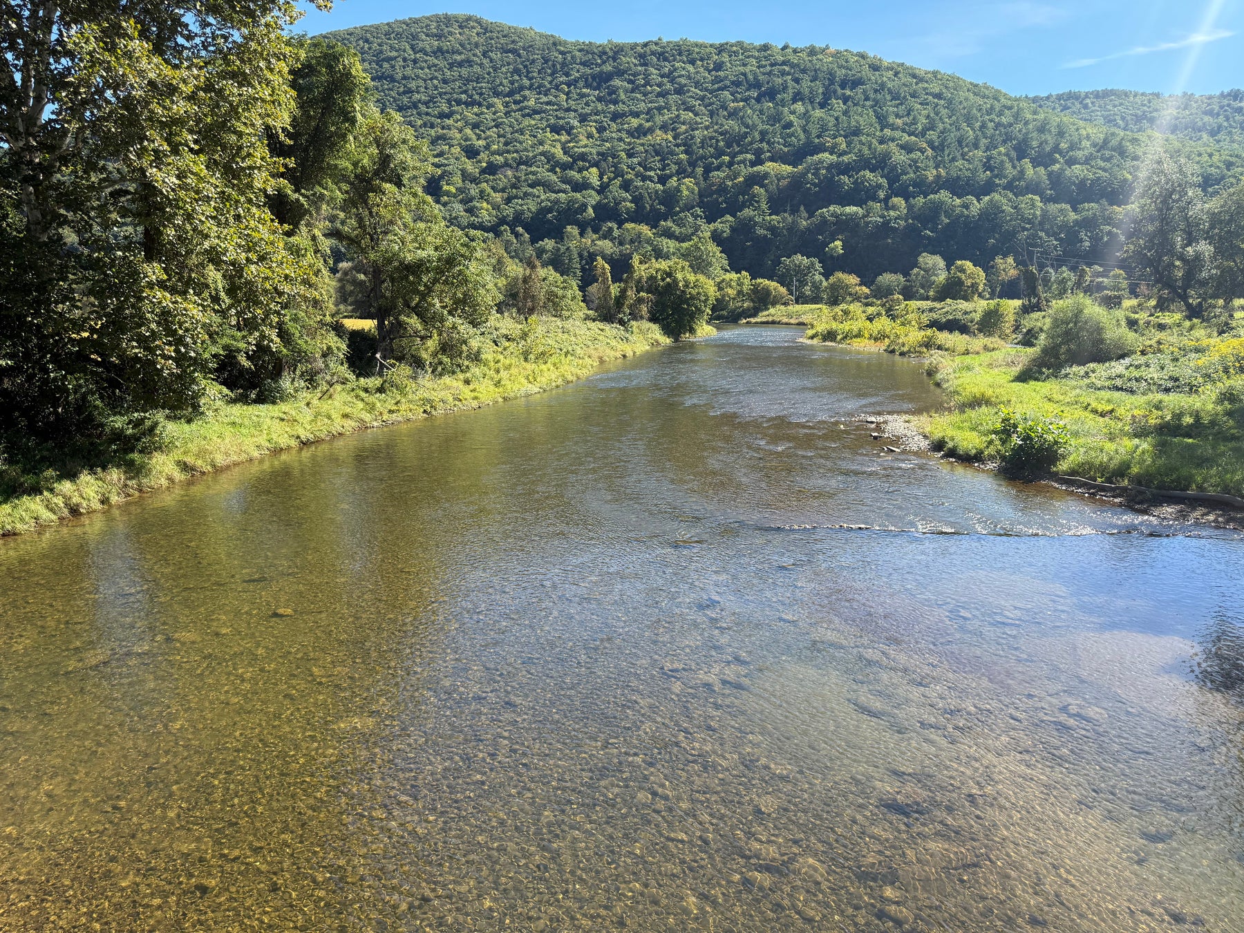9/24/2026 Upper Pine Creek Fly Fishing and Hatch Report