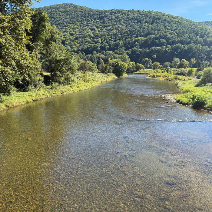 9/24/2026 Upper Pine Creek Fly Fishing and Hatch Report