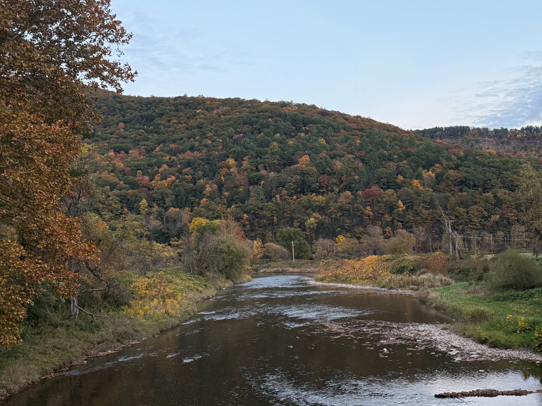 10/15/2026 Upper Pine Creek Fly Fishing and Hatch Report