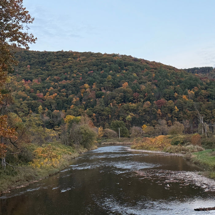 10/15/2026 Upper Pine Creek Fly Fishing and Hatch Report