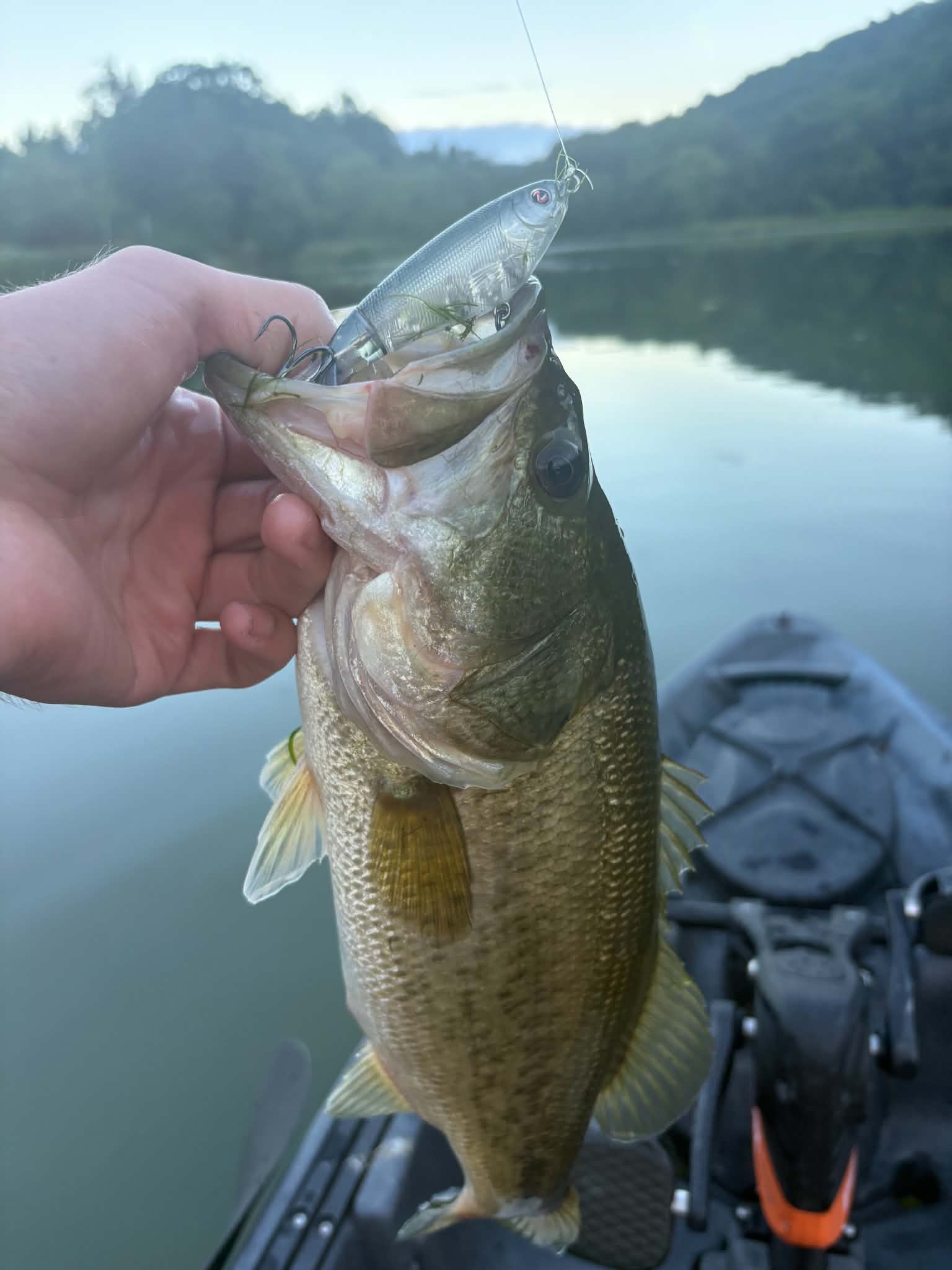 8/6/2026 Tioga County Fishing Report- Hammond Lake, Tioga Lake, Cowanesque Lake, Pine Creek and More