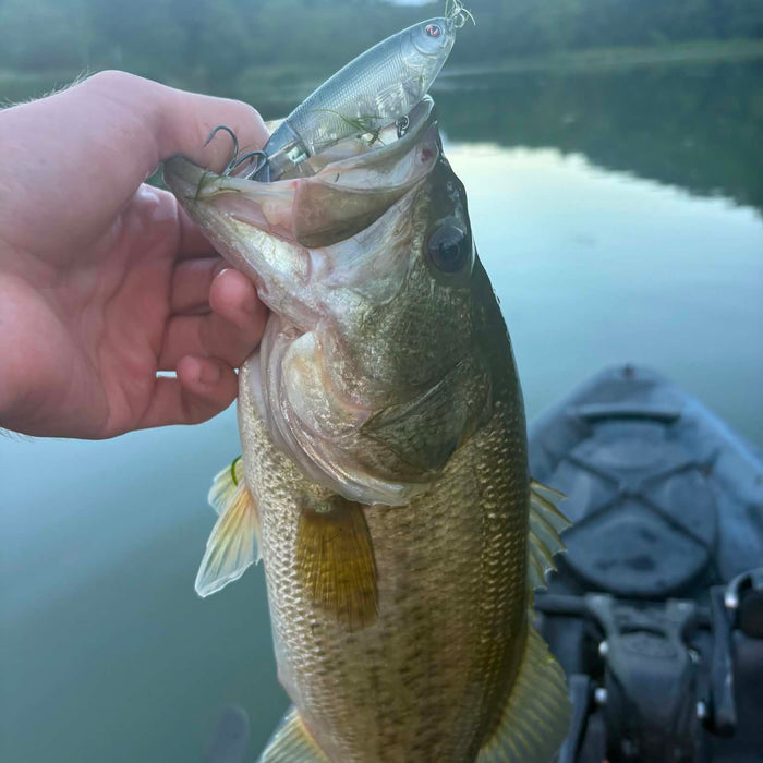 8/6/2026 Tioga County Fishing Report- Hammond Lake, Tioga Lake, Cowanesque Lake, Pine Creek and More