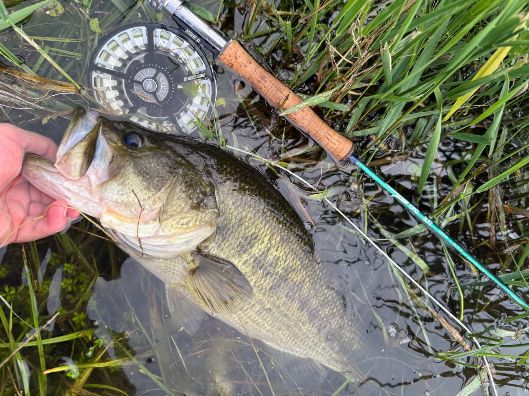 9/10/2026 Tioga County Fishing Report- Hammond Lake, Tioga Lake, Cowanesque Lake, Pine Creek and More
