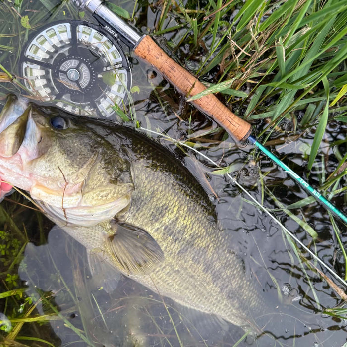 9/10/2026 Tioga County Fishing Report- Hammond Lake, Tioga Lake, Cowanesque Lake, Pine Creek and More