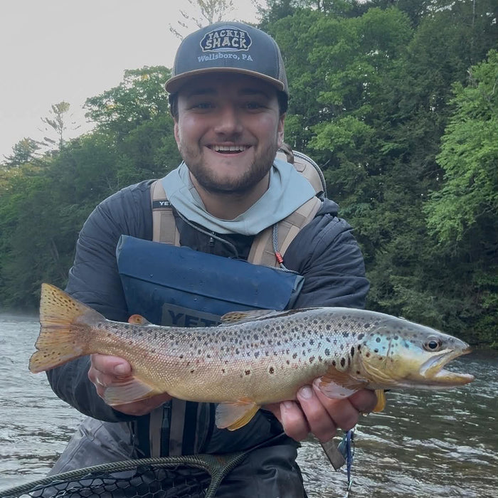 6/4/2026 Upper Pine Creek Fly Fishing & Hatch Report - Keystone Select Section to Gaines Area