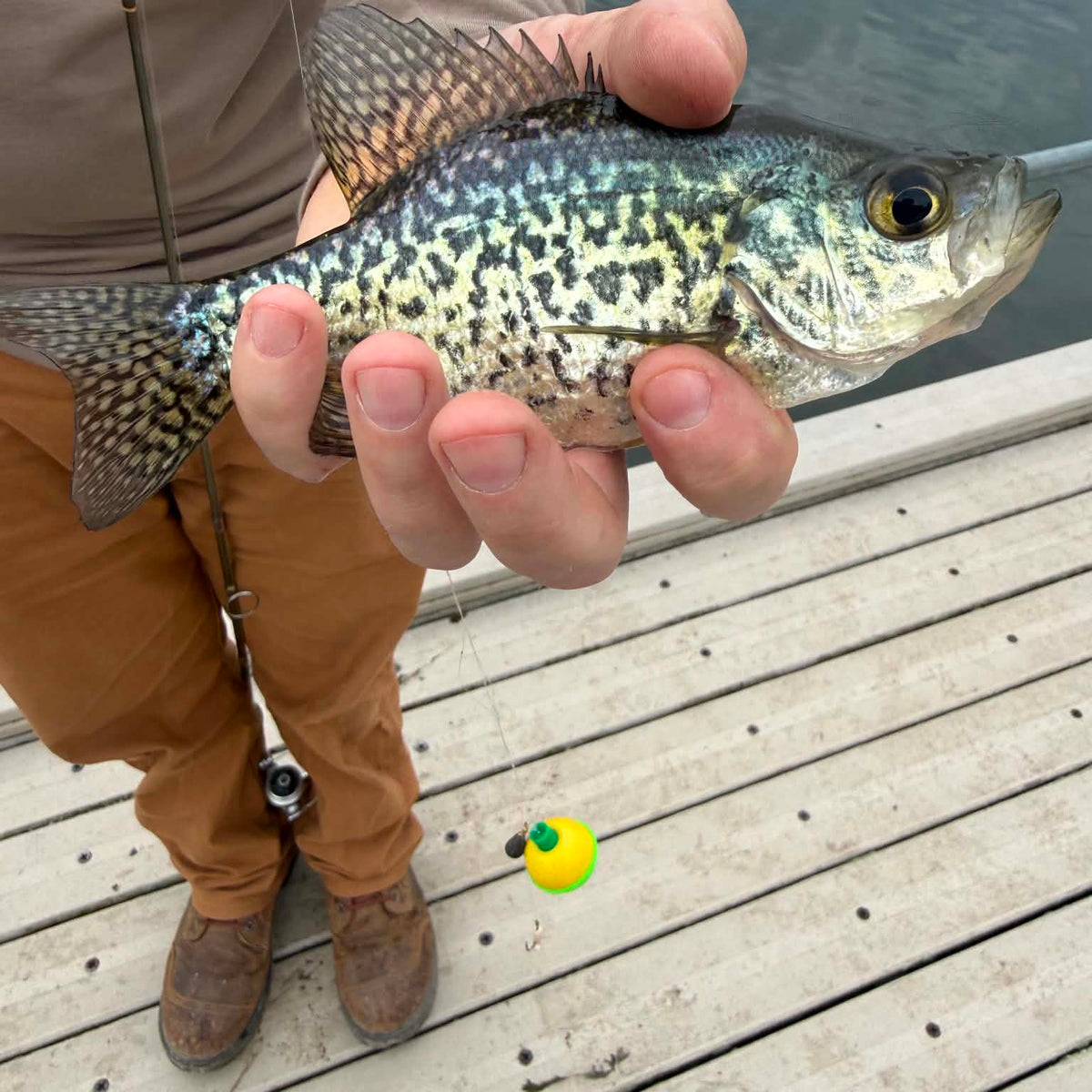 5/7/2026 Tioga County Fishing Report- Hammond Lake, Tioga Lake, Cowane ...