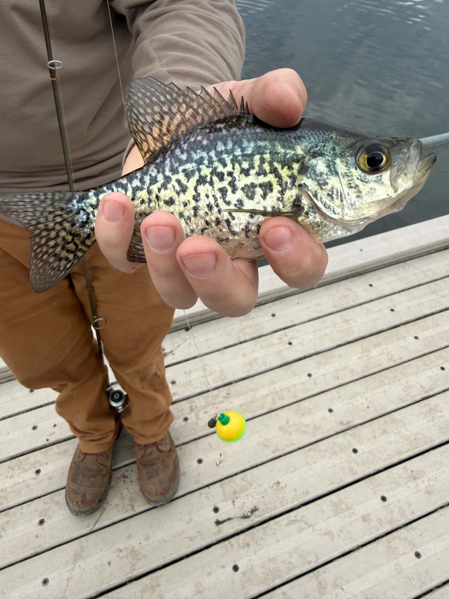 5/7/2026 Tioga County Fishing Report- Hammond Lake, Tioga Lake, Cowanesque Lake & More
