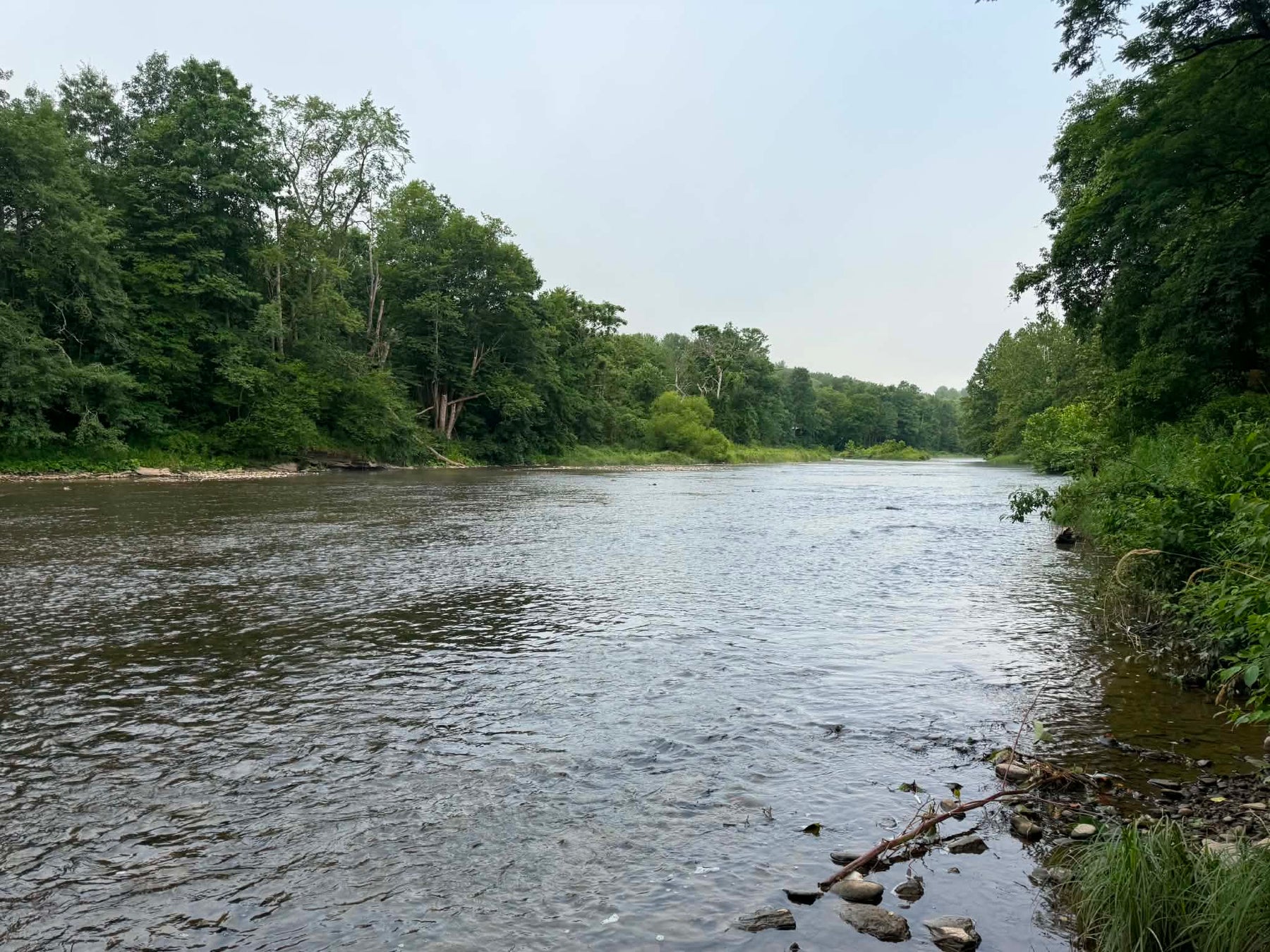 7/24/2026  Upper Pine Creek Fly Fishing and Hatch Report