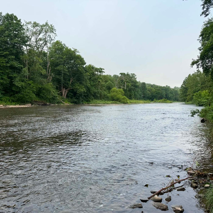 7/24/2026  Upper Pine Creek Fly Fishing and Hatch Report