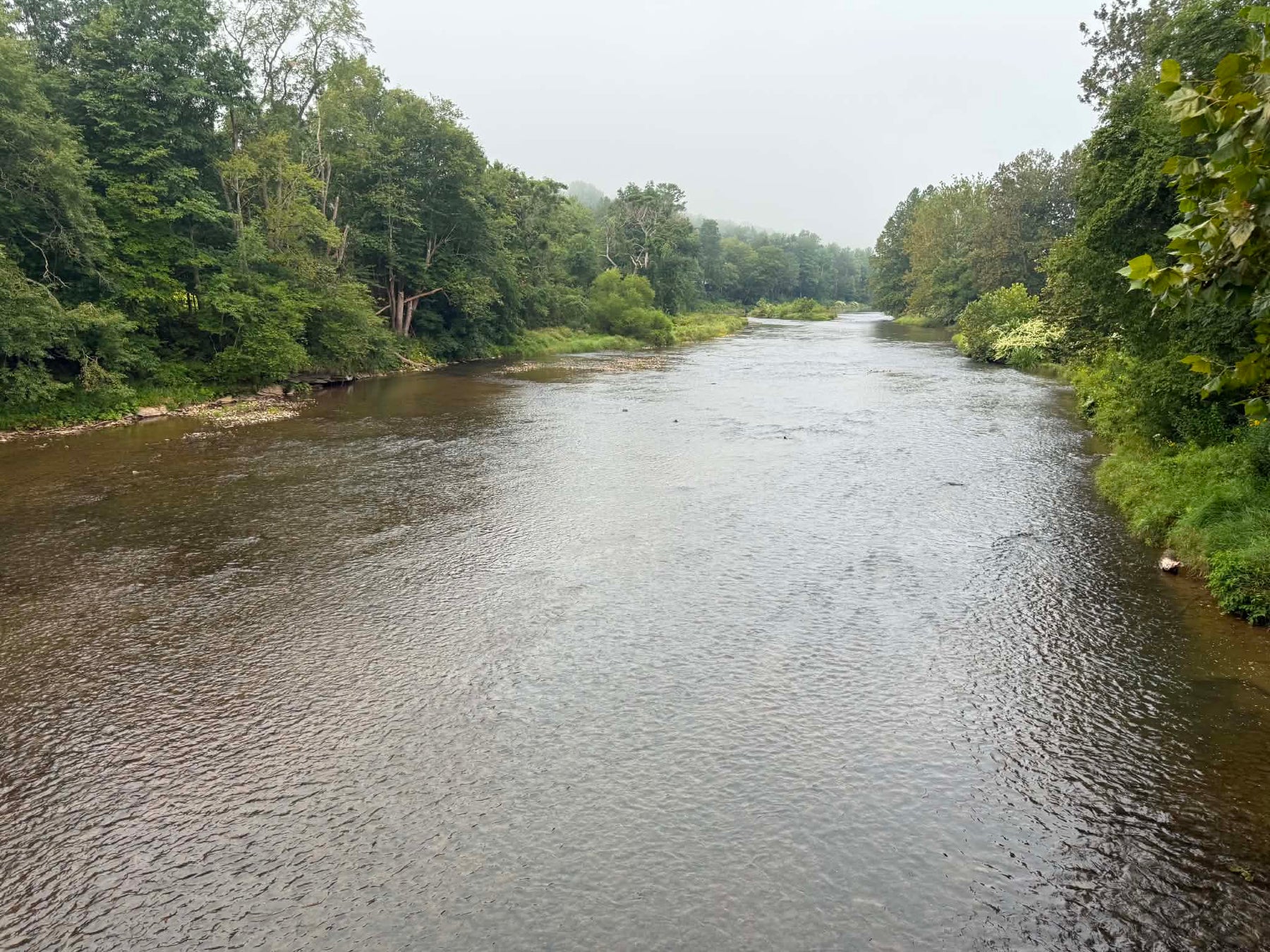 8/27/2026 Upper Pine Creek Fly Fishing and Hatch Report