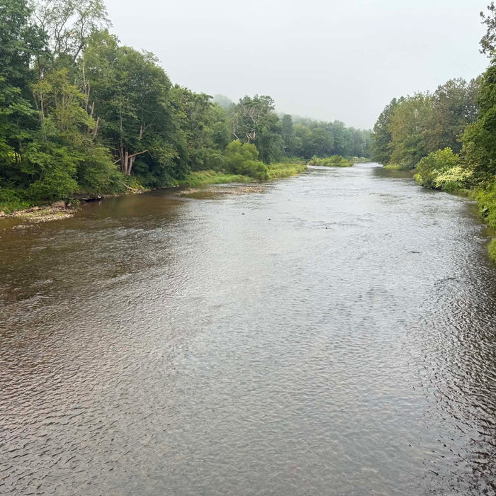 8/27/2026 Upper Pine Creek Fly Fishing and Hatch Report