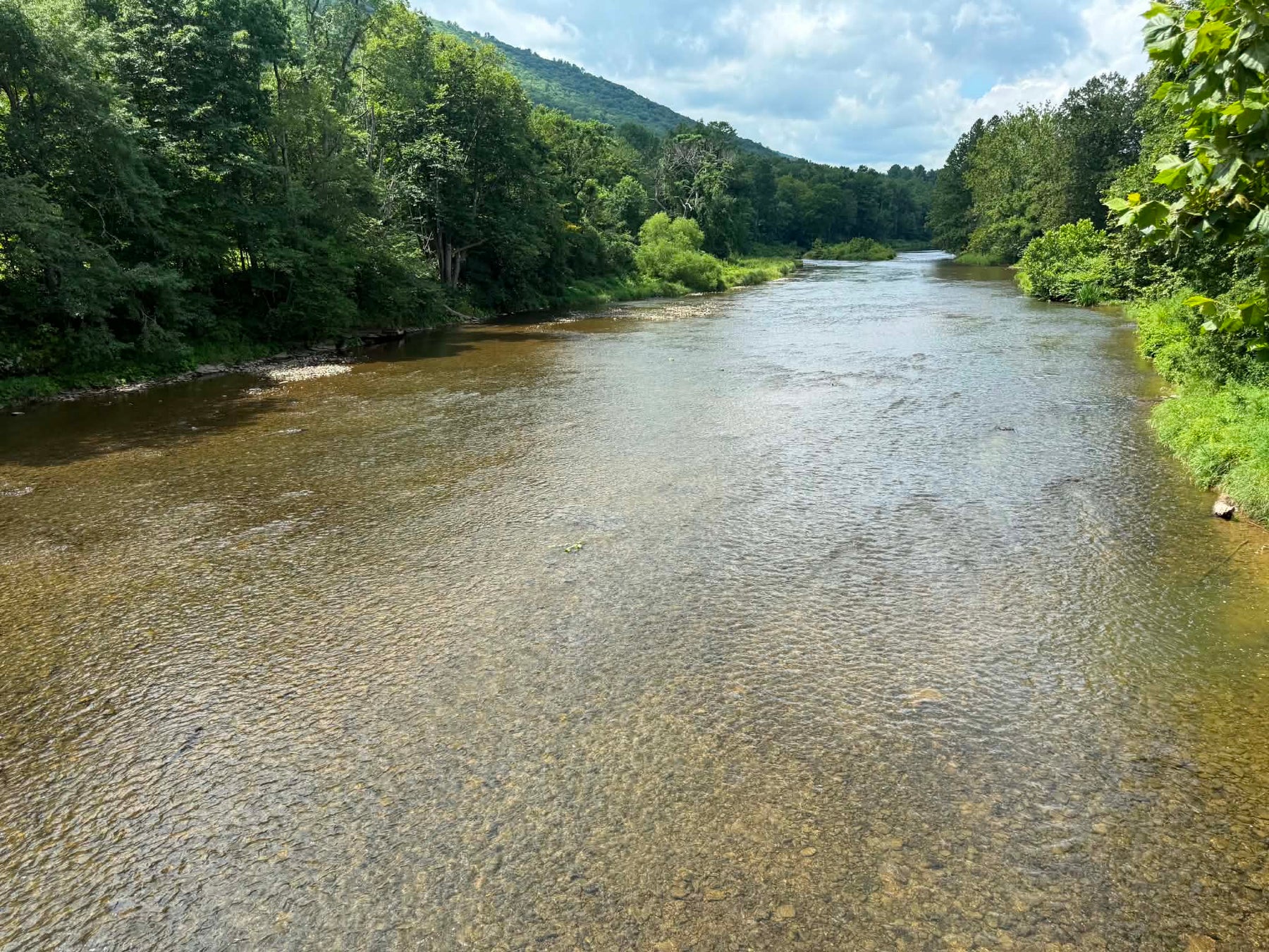 8/06/2026 Upper Pine Creek Fly Fishing and Hatch Report
