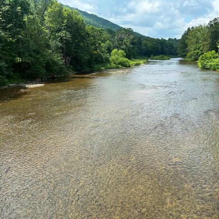 8/06/2026 Upper Pine Creek Fly Fishing and Hatch Report