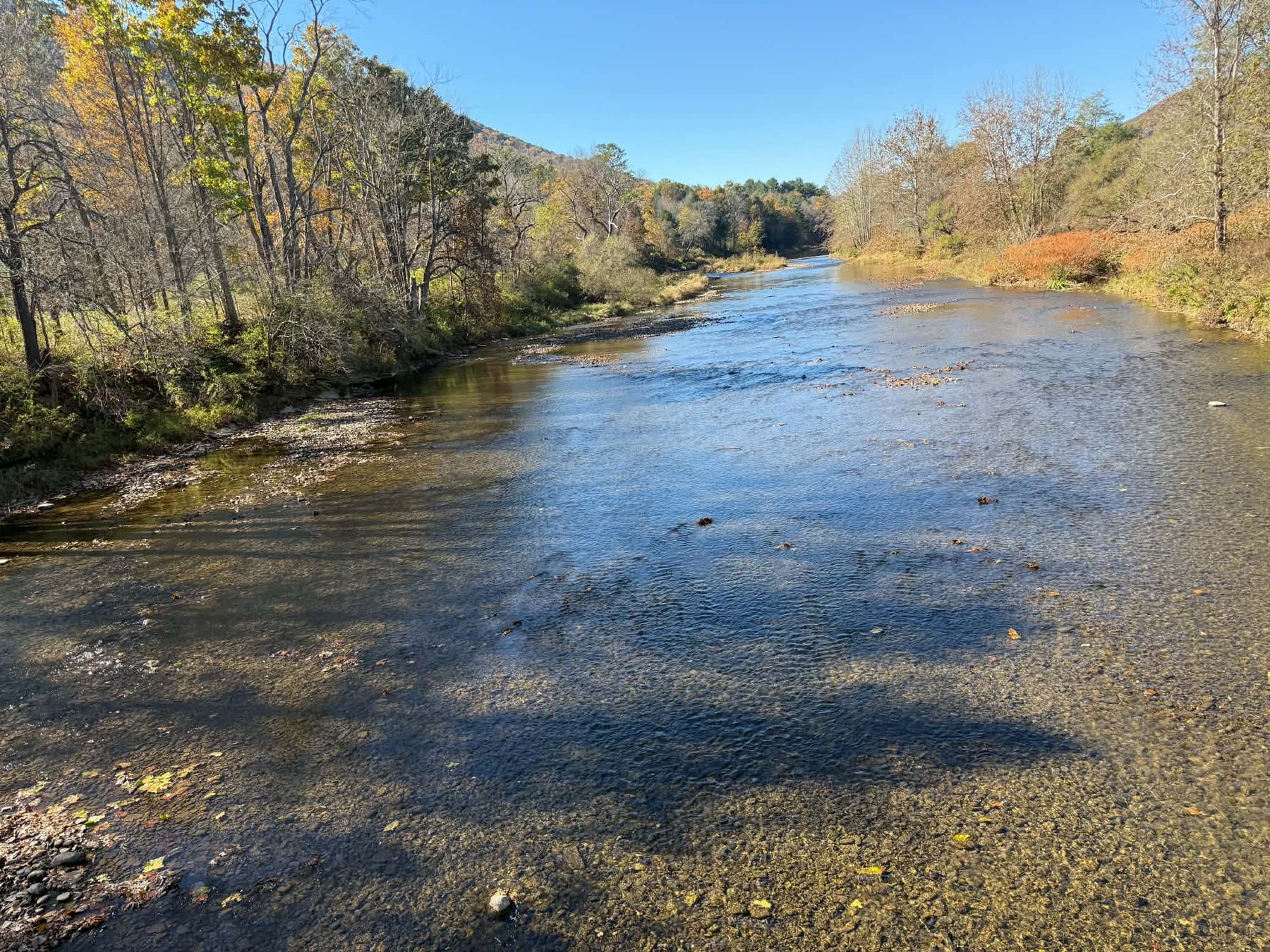 10/22/2026 Upper Pine Creek Fly Fishing and Hatch Report