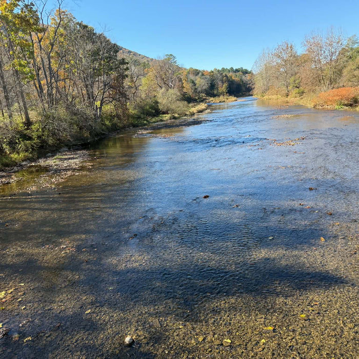 10/22/2026 Upper Pine Creek Fly Fishing and Hatch Report