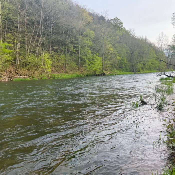 5/12/2026 Upper Pine Creek Fly Fishing Report - Gaines to Galeton