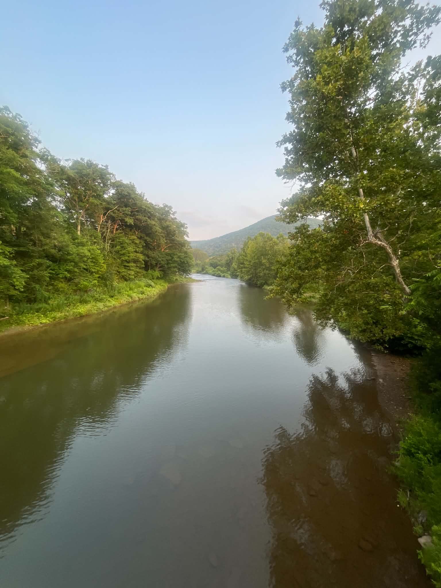 8/13/2026 Upper Pine Creek Fly Fishing and Hatch Report
