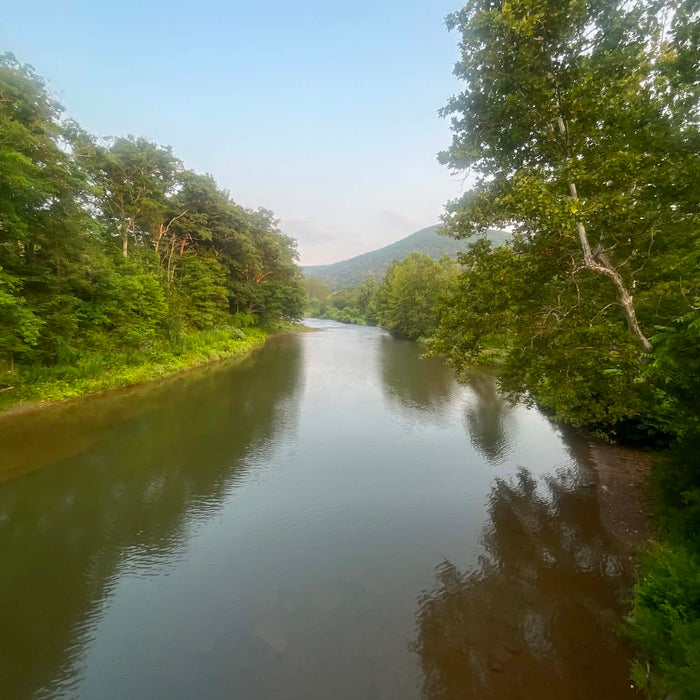 8/13/2026 Upper Pine Creek Fly Fishing and Hatch Report