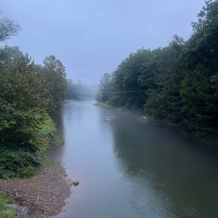 9/17/2026 Upper Pine Creek Fly Fishing and Hatch Report
