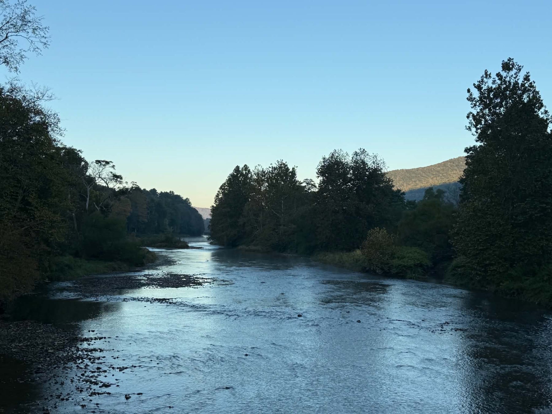 10/1/2026 Upper Pine Creek Fly Fishing and Hatch Report