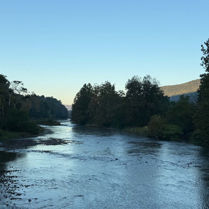 10/1/2026 Upper Pine Creek Fly Fishing and Hatch Report