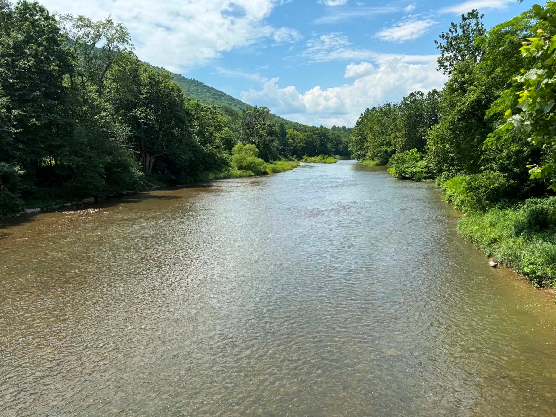 7/9/2026 Upper Pine Creek Fly Fishing and Hatch Report