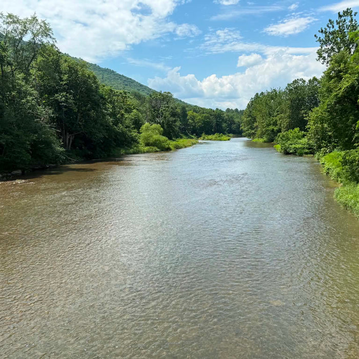 7/9/2026 Upper Pine Creek Fly Fishing and Hatch Report