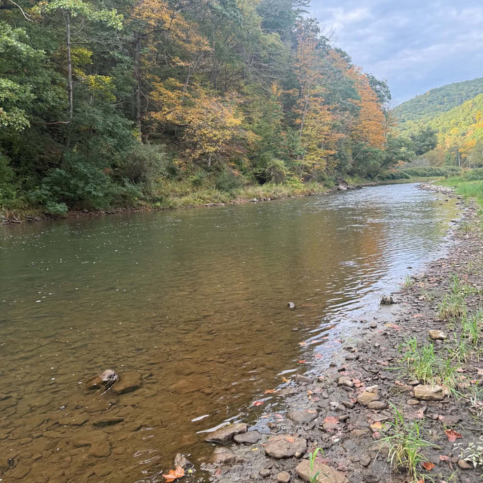 10/1/2026 Upper Pine Creek Fly Fishing and Hatch Report
