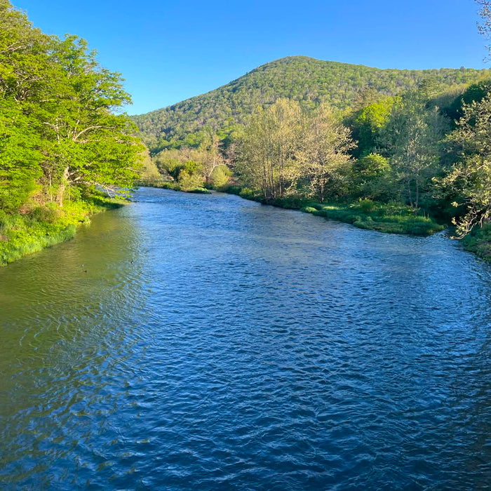 5/28/2026 Upper Pine Creek Fly Fishing and Hatch Report