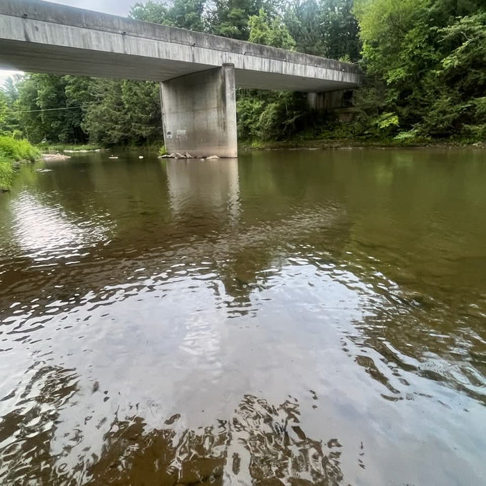 7/30/2026 Upper Pine Creek Fly Fishing and Hatch Report