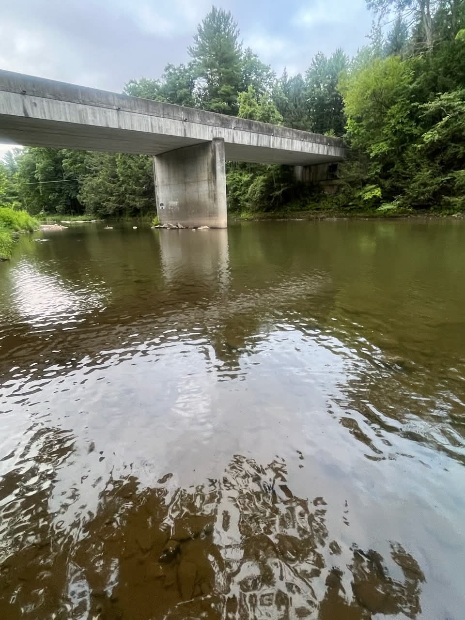 7/30/2026 Upper Pine Creek Fly Fishing and Hatch Report
