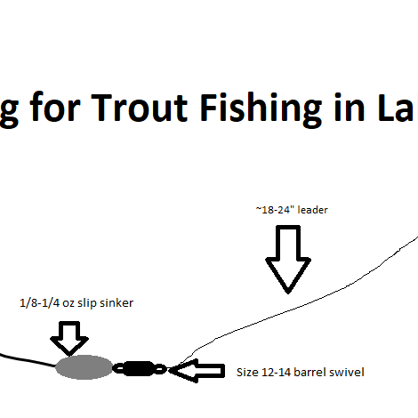 Top Three Powerbait Colors and How To Rig It for Stocked Trout Lake fishing