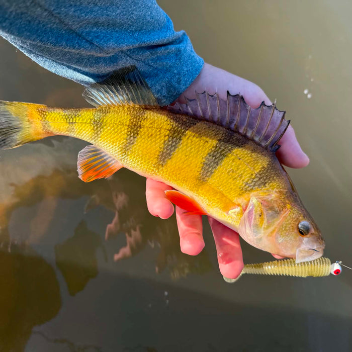 5/28/2026 Tioga County Fishing Report- Hammond Lake, Tioga Lake, Cowanesque Lake, Pine Creek and More