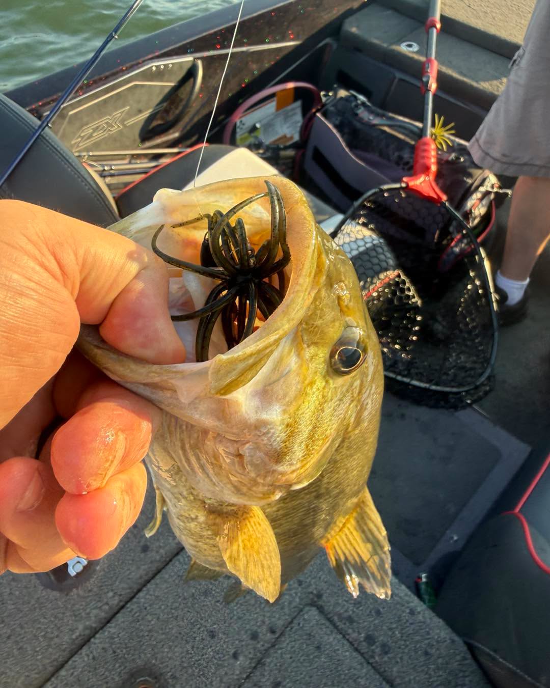 7/16/2026 Tioga County Fishing Report- Hammond Lake, Tioga Lake, Cowanesque Lake, Pine Creek and More