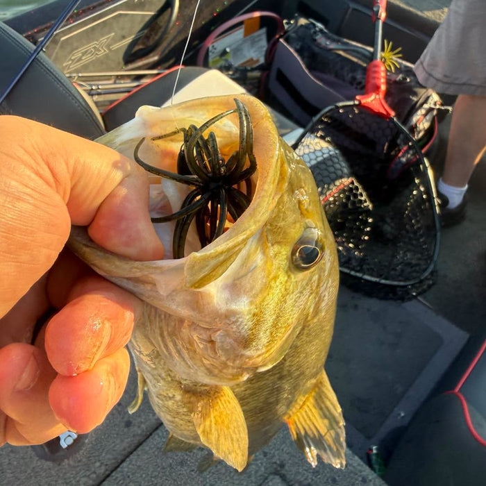 7/16/2026 Tioga County Fishing Report- Hammond Lake, Tioga Lake, Cowanesque Lake, Pine Creek and More