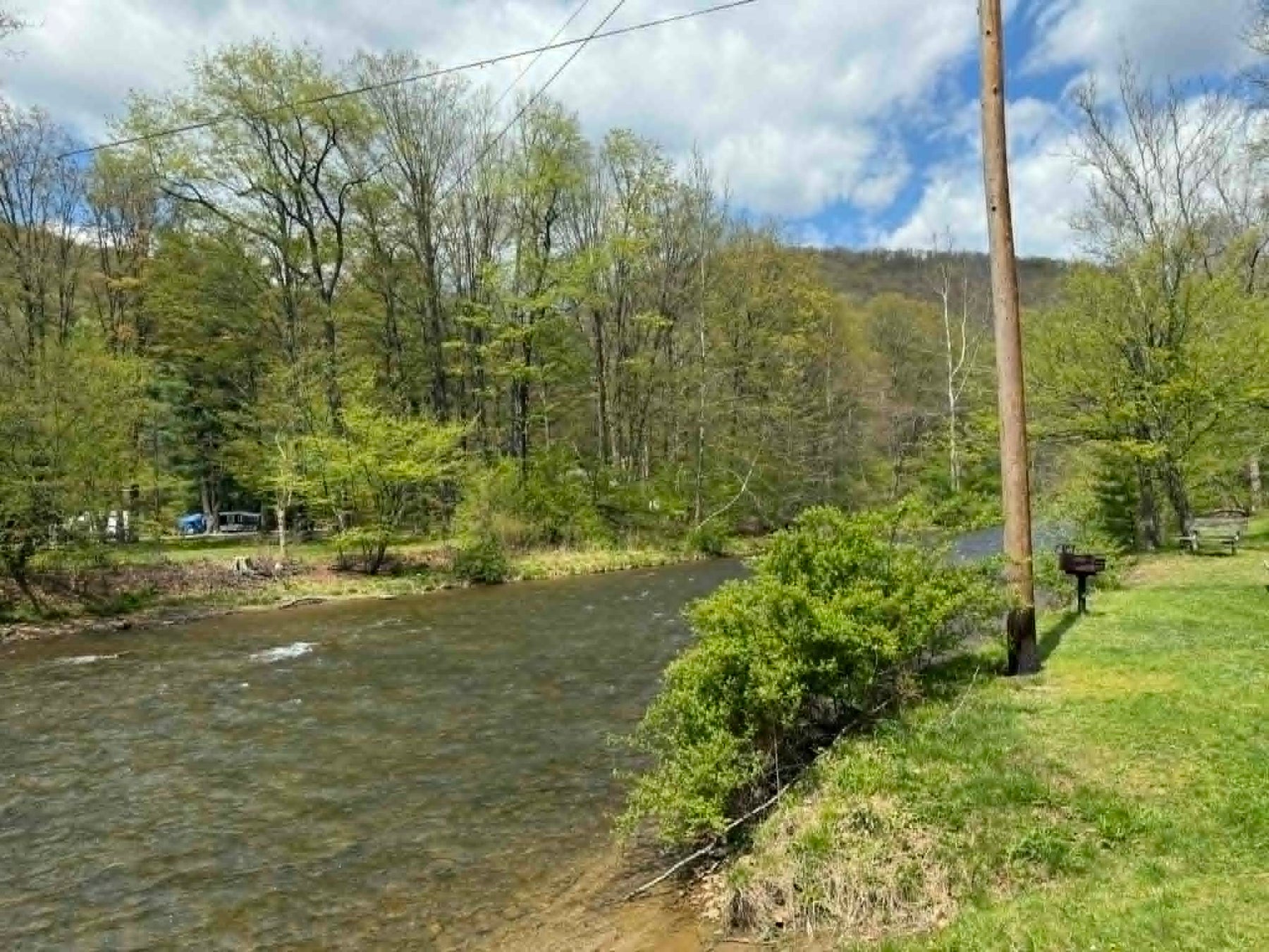 5/3/2026 Kettle Creek and Cross Fork Creek Fly Fishing Report