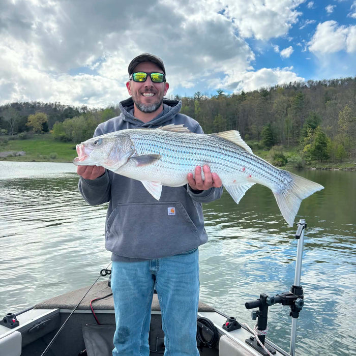 Cowanesque Lake Striper