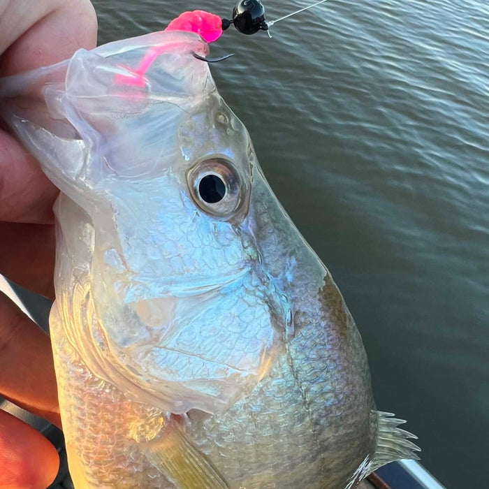 Hammond Lake (Tioga County) added to Panfish Enhancement Program