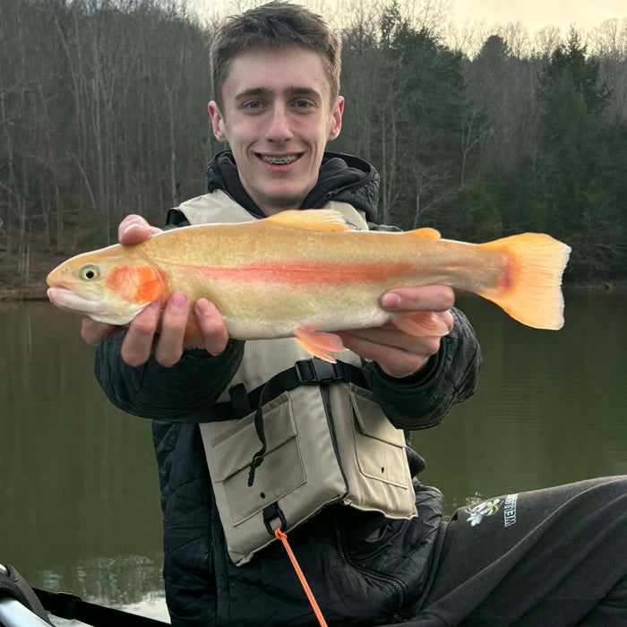 Tioga County & Upper Pine Creek Fishing Report 3-31-2026