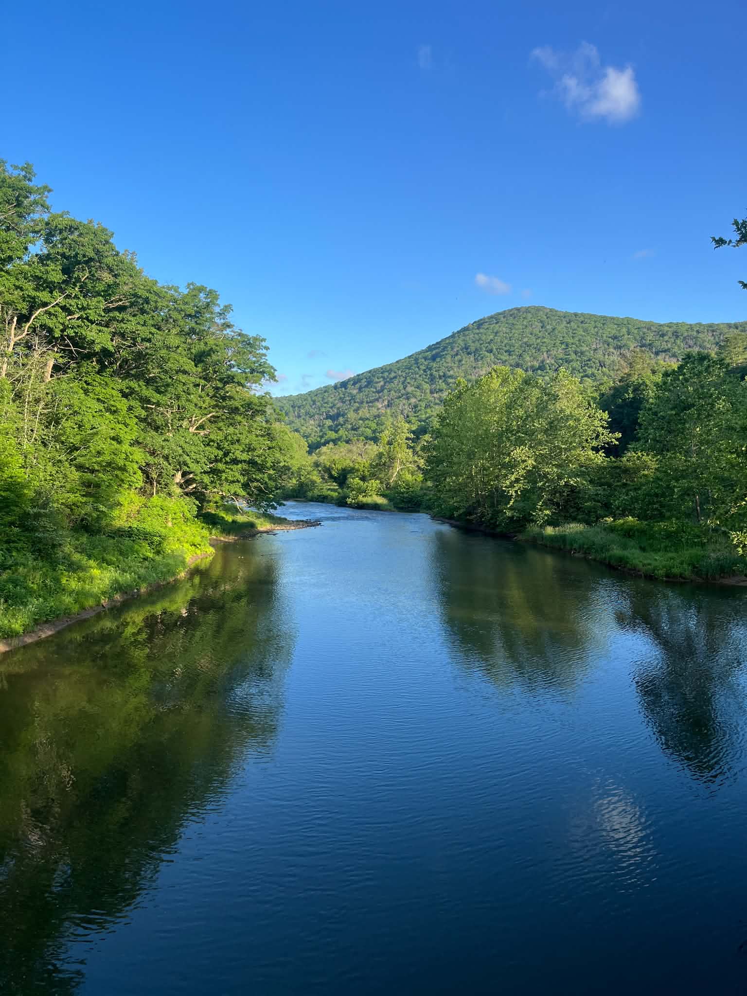 6/18/2026 Upper Pine Creek Fly Fishing and Hatch Report