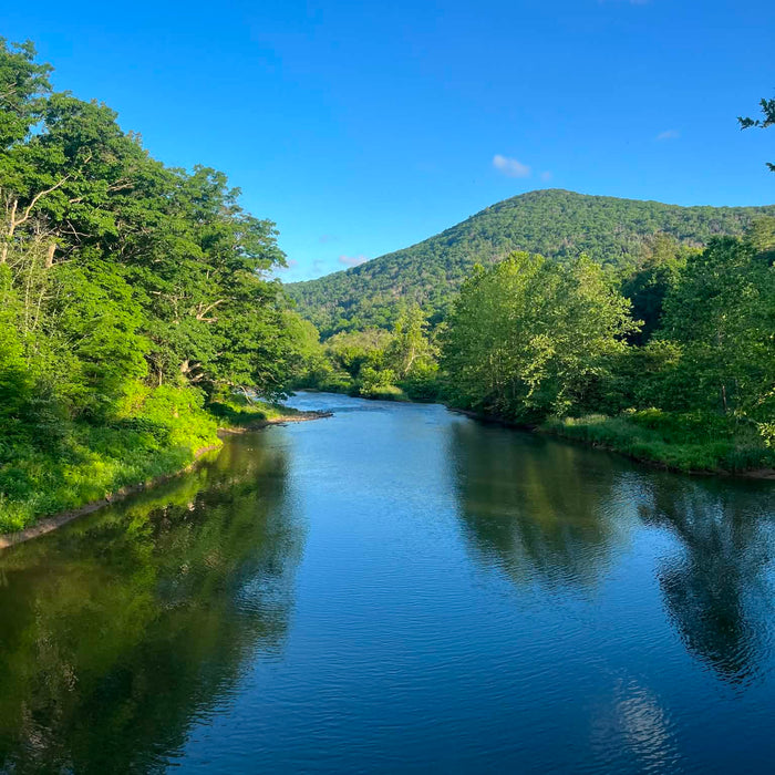 6/18/2026 Upper Pine Creek Fly Fishing and Hatch Report