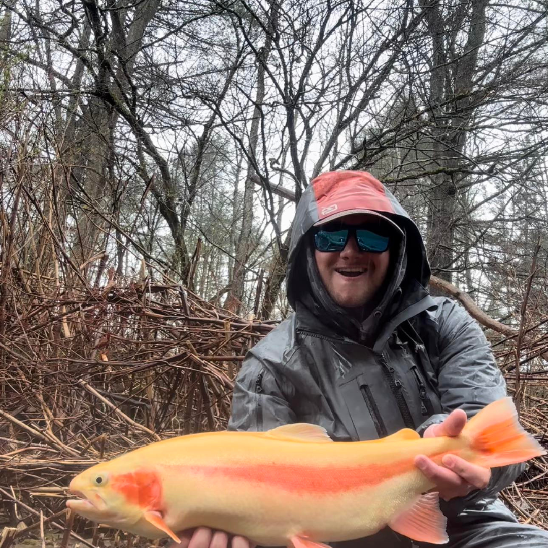 Trout Season Essentials