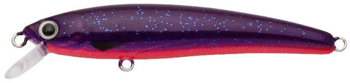 Challenger Micro Minnow